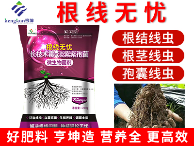 根線無憂