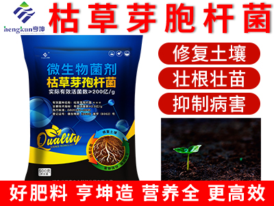 枯草芽胞桿菌