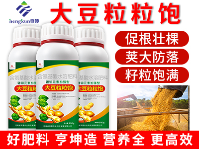 大豆粒粒飽