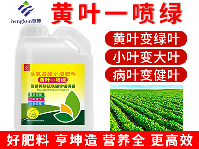 黃葉一噴綠2.5
