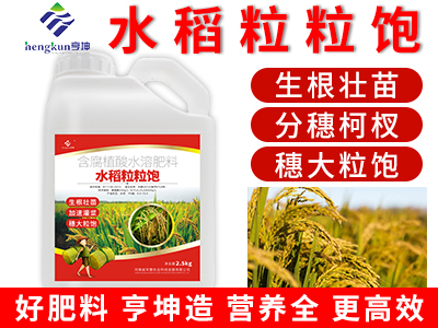 水稻粒粒飽2.5