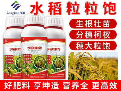 水稻粒粒飽500